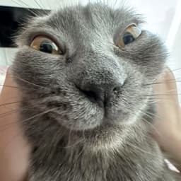 Zhuuuuu2