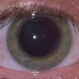 d0n4t3Lo