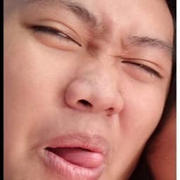 SiRJpapi