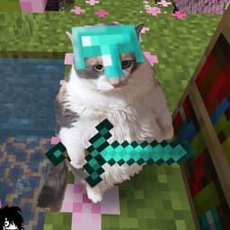 unkn0wn249