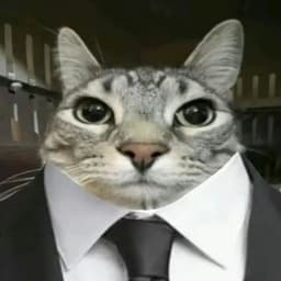 Weldd