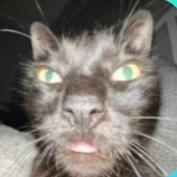 omar3kk