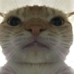 AleexaD