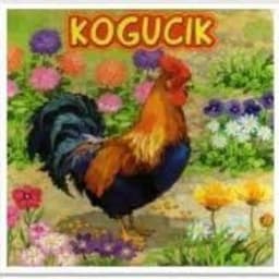 Kurczak90