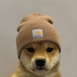 FoolishSZN_
