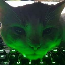 X-M3N