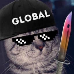 l_HarDcore_l