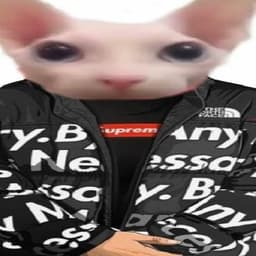 csspelare