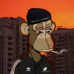 Crypto_Bo7