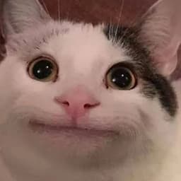 qAxLq