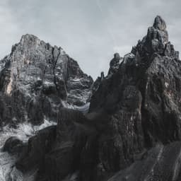 _view_