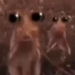 Kdnnbr
