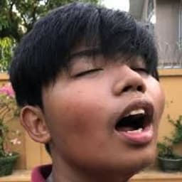 REINISO