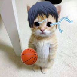 zxzxxsll