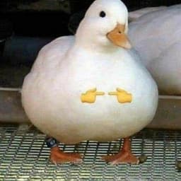 Quacxi
