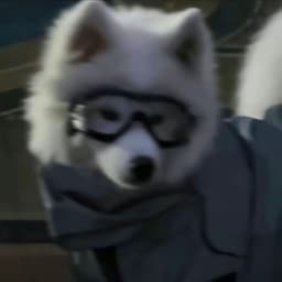 pulluo