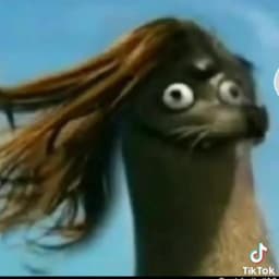 raresvlog
