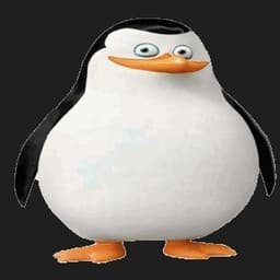Wobblerocke4