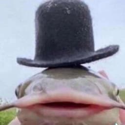 FishInTophat