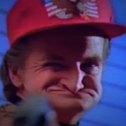 gouda