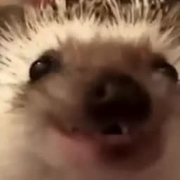 urmala