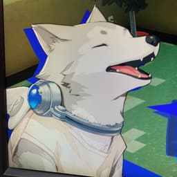 NaKooooo