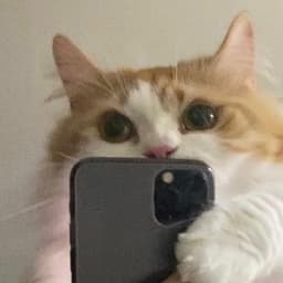 oMaloy