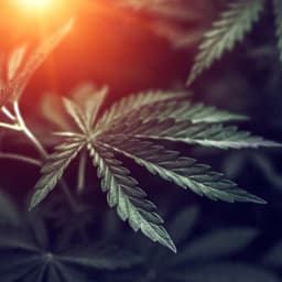 Gospo420