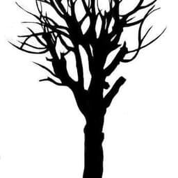 ImmortalTree