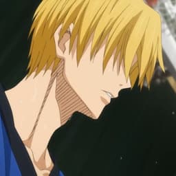 ---SHU---