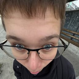 Lanfikk