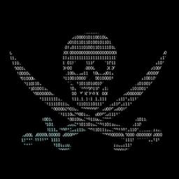 The_Hex