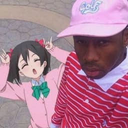 bCj666