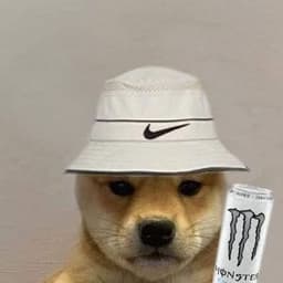 DZ4MIOL