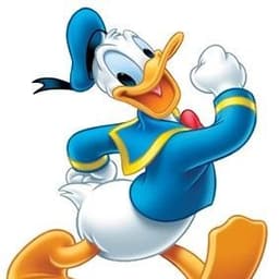 DONALD_1337_