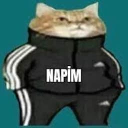 napimPEEEK