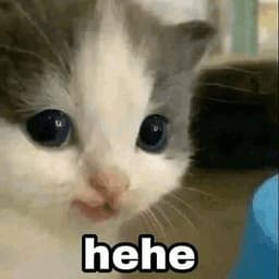 _hehe--