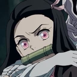 ayakirui