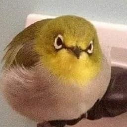 bORB