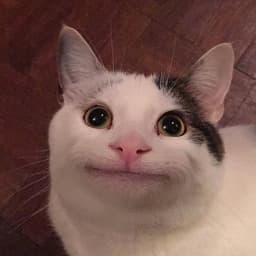 NeeKo3