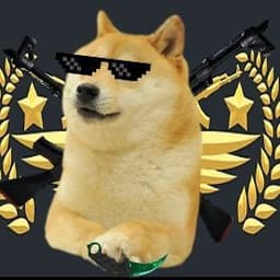 JognDoge