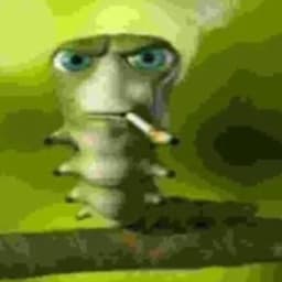 analnykrul