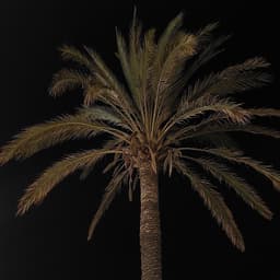 S7N777