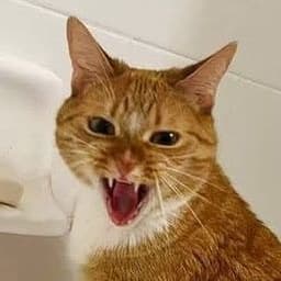 Mapapute