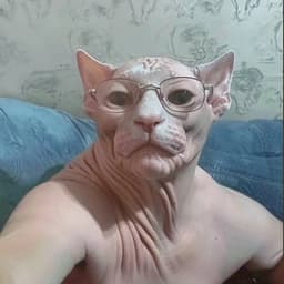 schzphrncfr