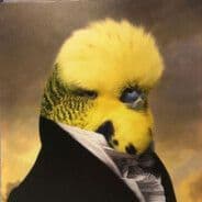 SultanBaback