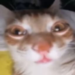 suh