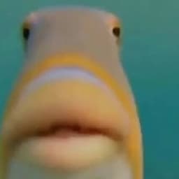 Yeet6722