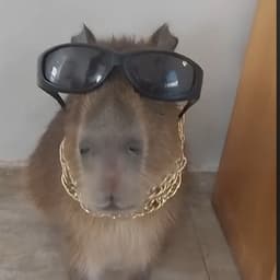 lOpaMendesl