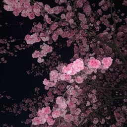 _metadon1337